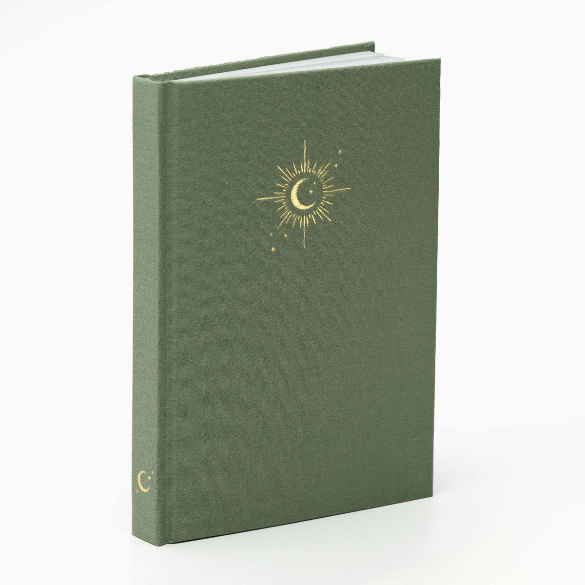 Hemlock & Oak notebooks in Willow #color_willow