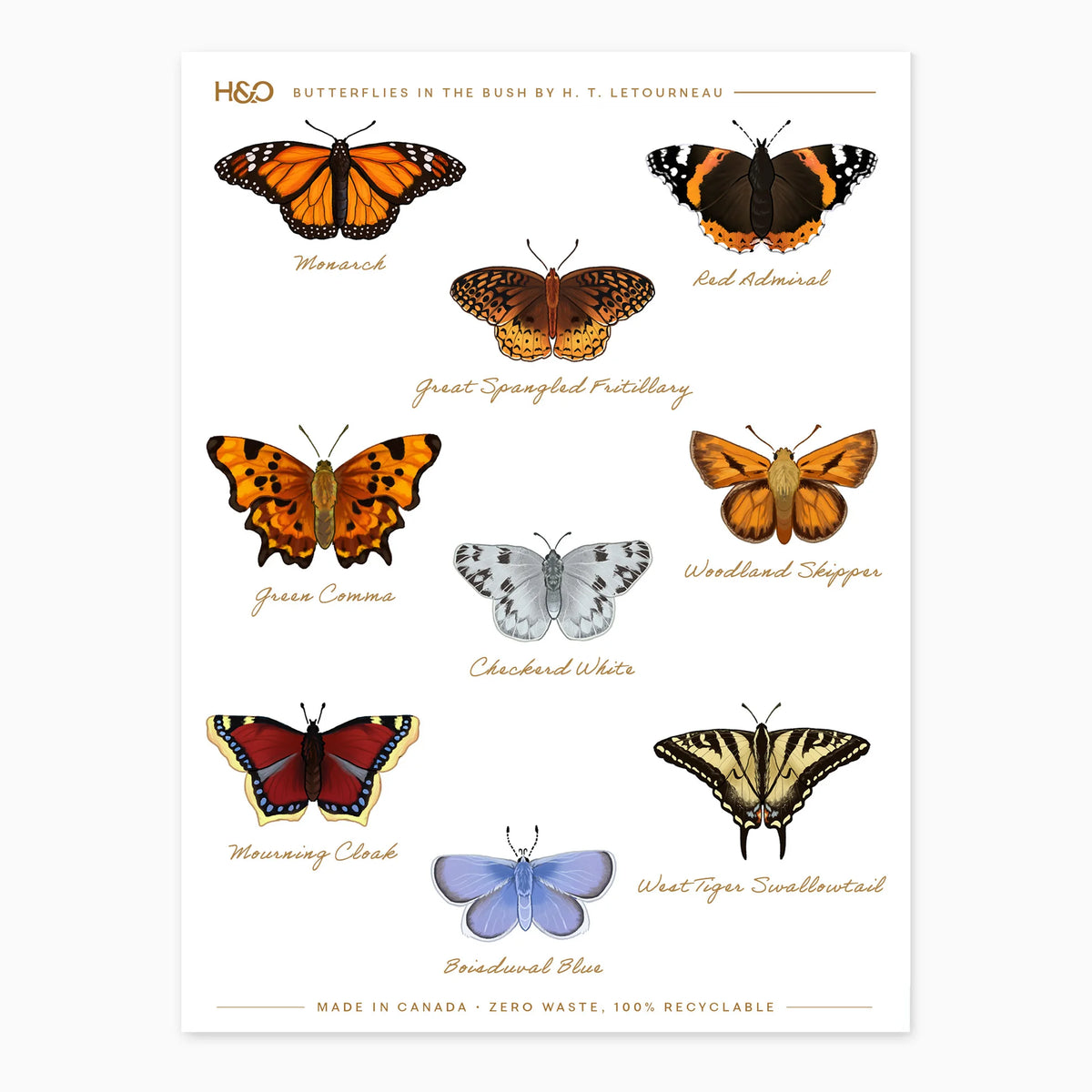 Butterflies in the Bush Stickers - detail view