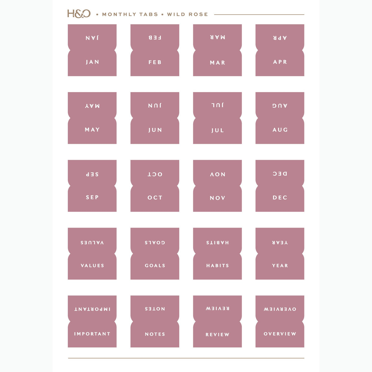 Monthly Tabs in Wild Rose #color_wild rose