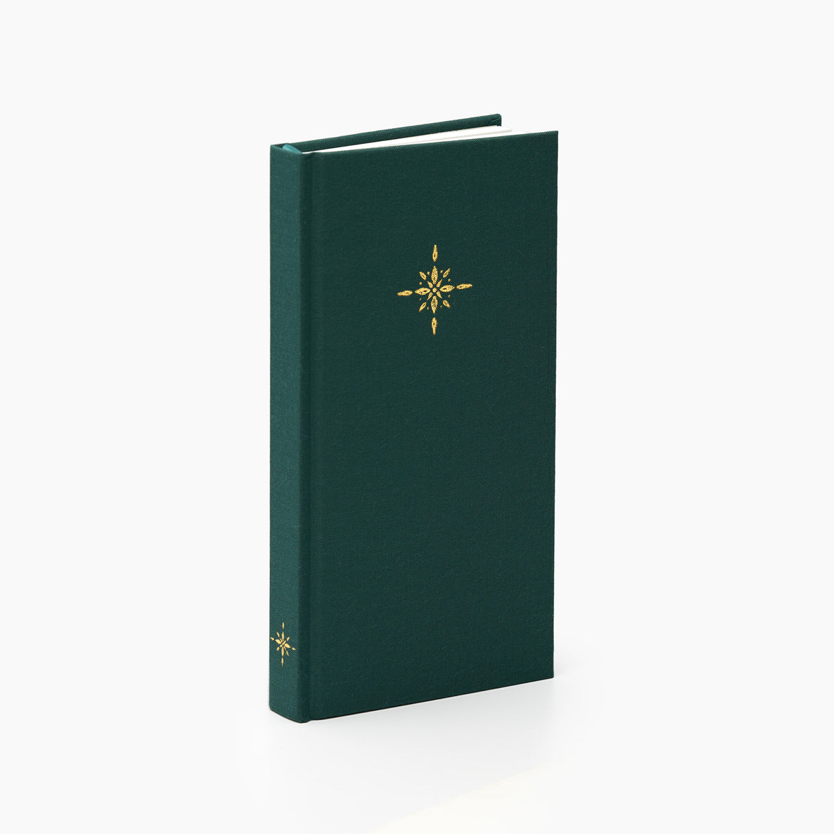 Luminé Graph Notebook in Juniper #color_juniper