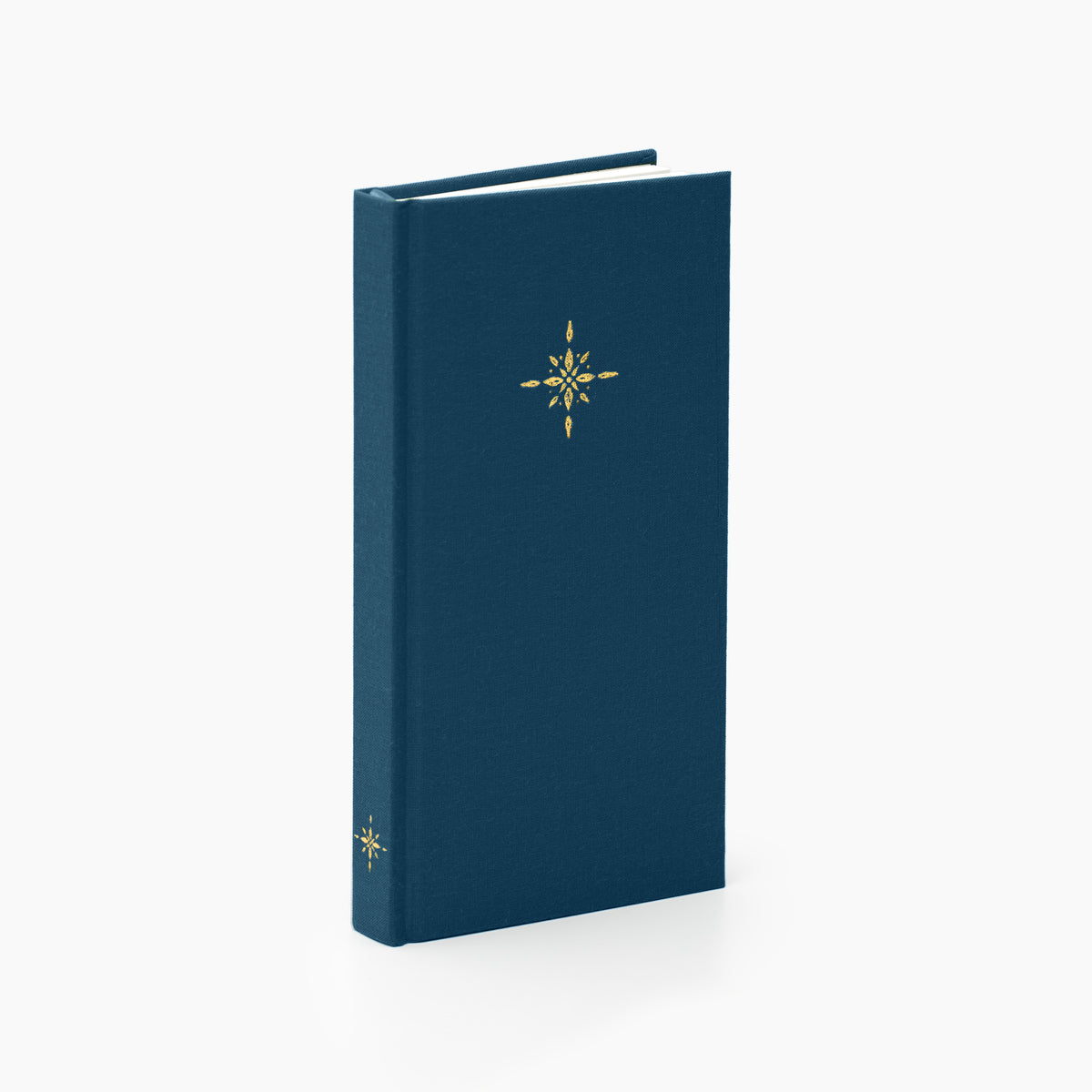 Luminé Graph Notebook in Pacific #color_pacific