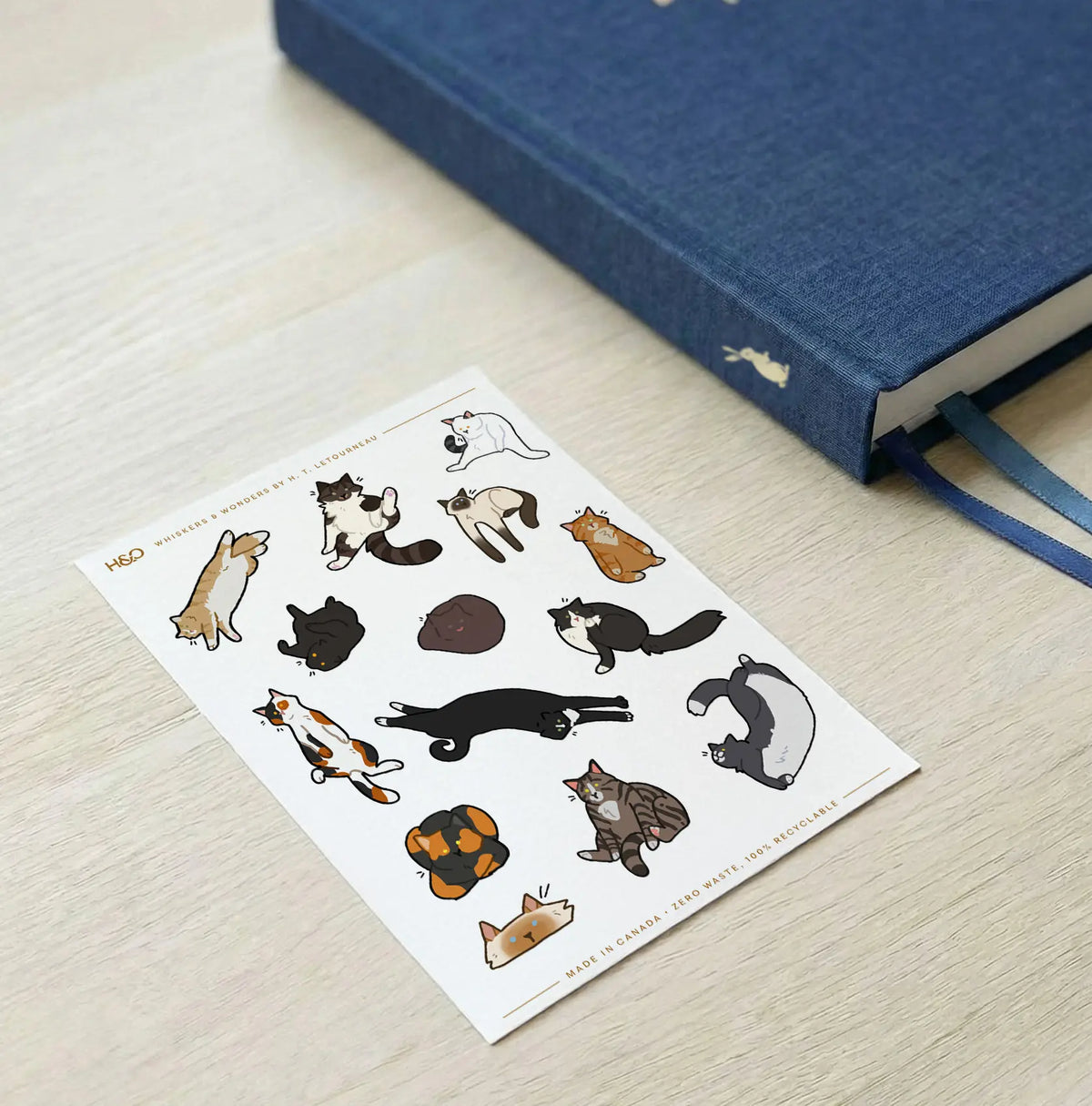 Whiskers and Wonders Stickers - Planner Stickers