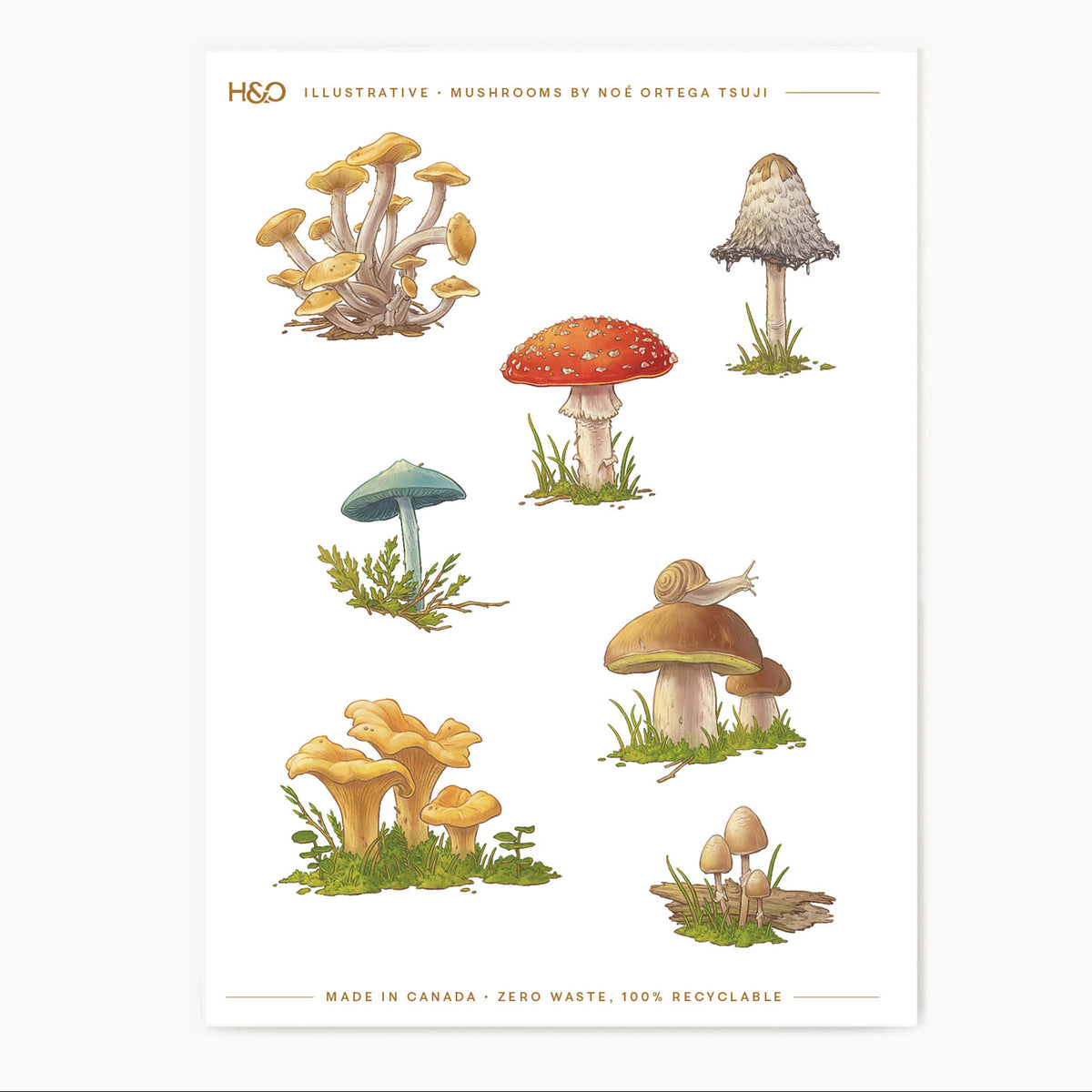 Mushroom Stickers - Planner Stickers