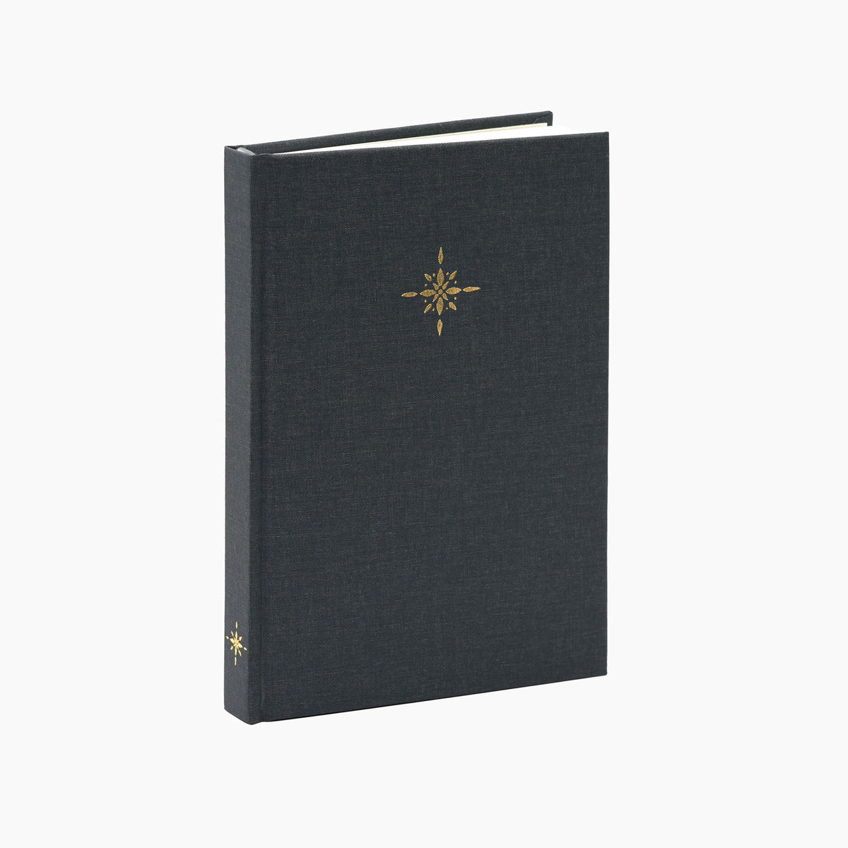 Luminé Dotted Notebook (Hardcover, 150gsm) in Slate #color_slate
