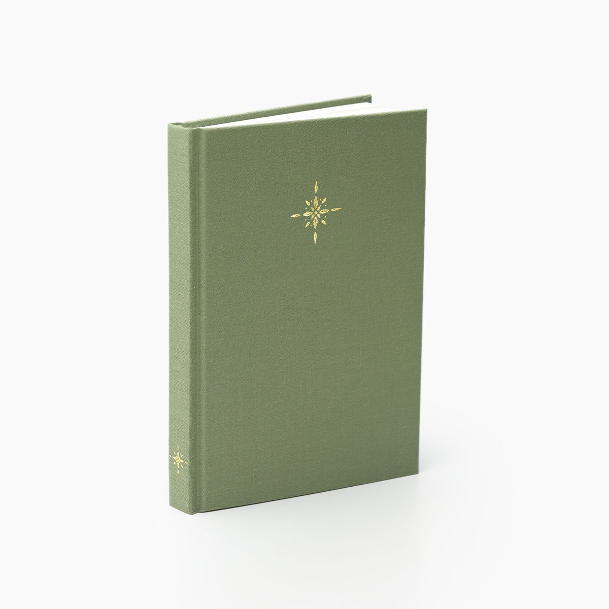 Luminé Dotted Notebook (Hardcover, 150gsm) in Willow #color_willow