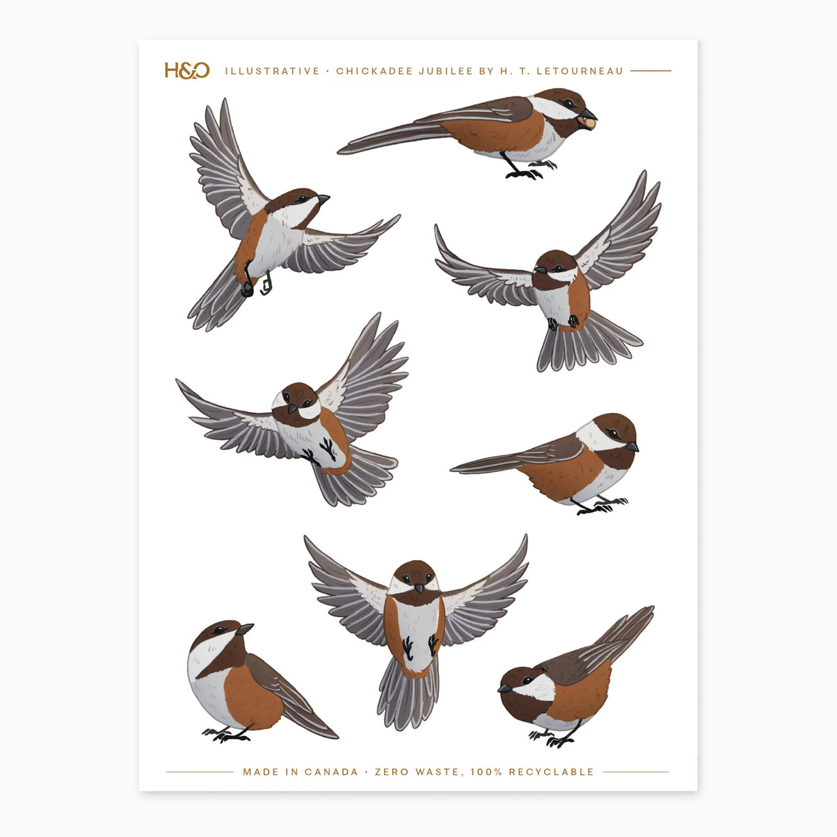 Chickadee Jubilee Stickers in Chestnut-Backed #color_chestnut-backed