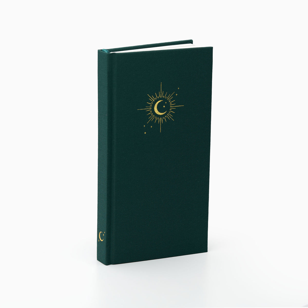 Lunar Dotted Notebook (Hardcover, 150gsm) in Juniper #color_juniper
